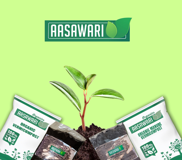 aboutus